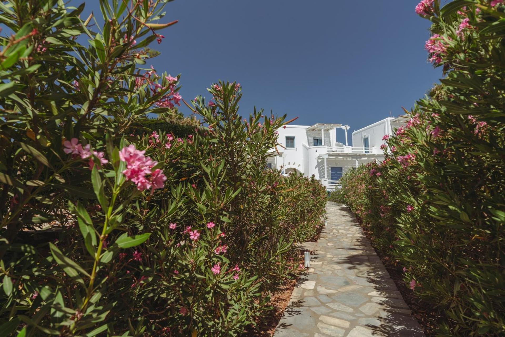 Palm Heaven Boutique Apartments Antiparos Città Esterno foto